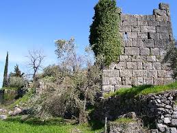 tithorea16